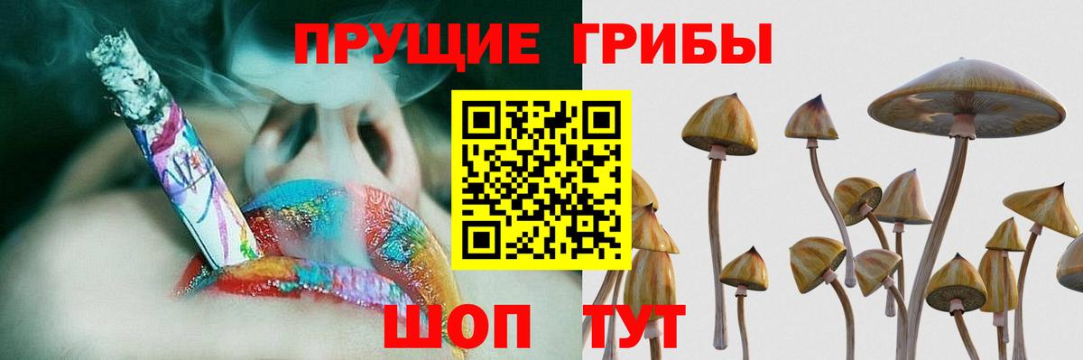 где купить наркотик  Вход с VPN  Ростов-на-Дону  Галлюциногенные грибы прущие грибы  Галлюциногенные грибы Magic Shrooms 